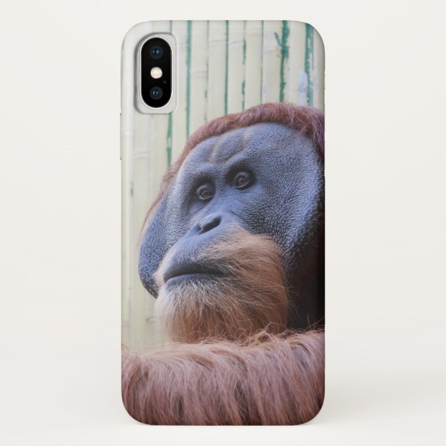Coques Case-Mate iPhone Orang-outan assis... (Dos)