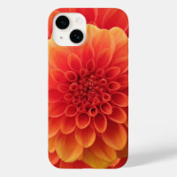 Orange Dahlia