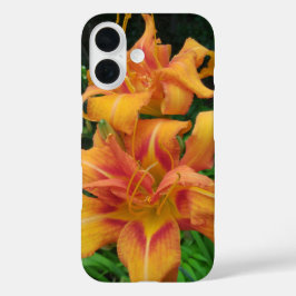 Coques iPhone 16 Orange Daylily Blooms