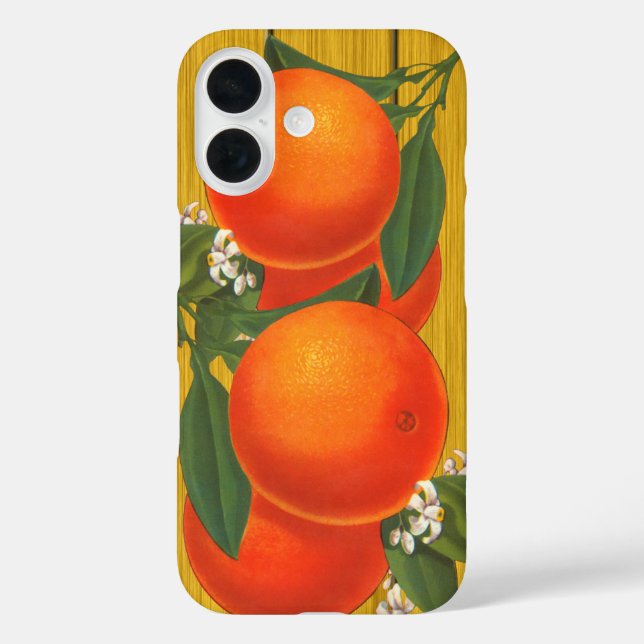 Coques Case-Mate iPhone Oranges Art Fruit Rétro (Verso)