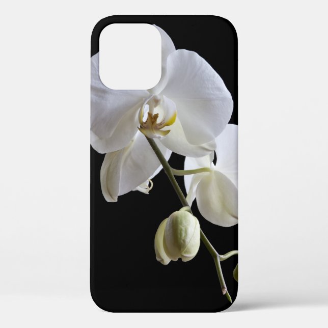 Coques Case-Mate iPhone Orchidée blanche Phalaenopsis sur noir (Verso)