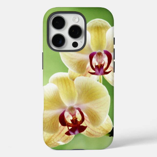 Coques Case-Mate iPhone Orchidée jaune et rose (Verso)