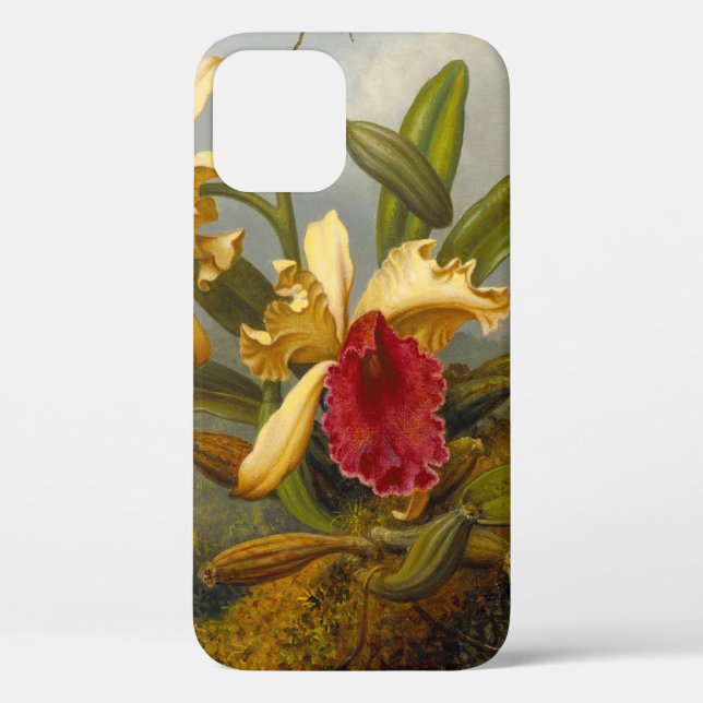 Coques Case-Mate iPhone Orchidées et colibri Heade (Verso)