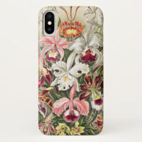 Orchidées, Orchideae Denusblumen par Ernst Haeckel