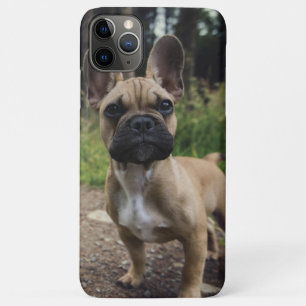 Case-Mate iPhone Case Oreiller à lancer de chien de taureau français