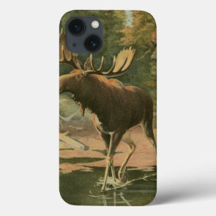 Etui iPhone 13 Orignaux marchant dans l'eau
