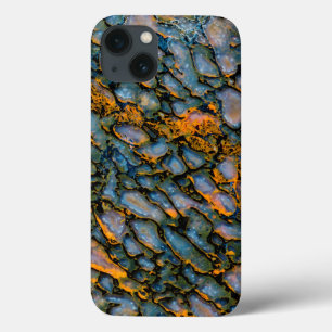 Case-Mate iPhone Case Os de dinosaure pétrifié