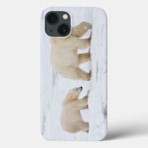 Etui iPhone Case-Mate Ours blancs femelles et deux petits animaux 2