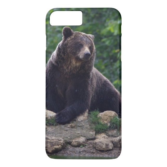 Coques Case-Mate iPhone Ours Brown (Dos)