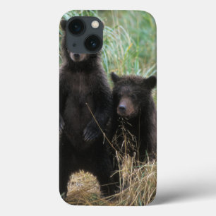 Etui iPhone 13 ours brun, Ursus arctos, grizzly, Ursus 7 2