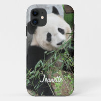 Ours De Panda Géant, Nom Personnalisé,