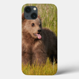 Case-Mate iPhone Case Ours drôle de bébé des images   de Getty