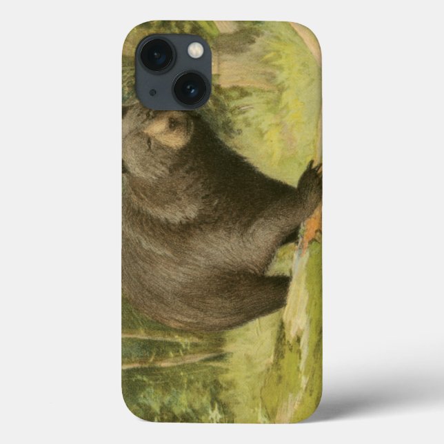 Coques Case-Mate iPhone Ours noir sur un tronc d'arbre (Verso)