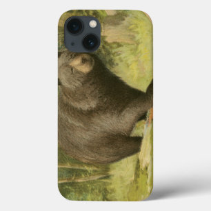 Case-Mate iPhone Case Ours noir sur un tronc d'arbre