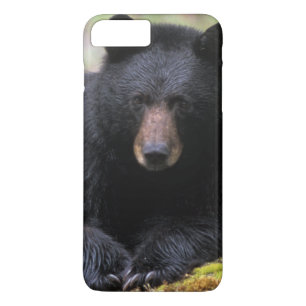Coque iPhone 8 Plus/7 Plus Ours noir sur une vieille bille de bois dans la