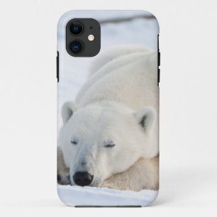 Coque iPhone 11 Ours polaire en hiver