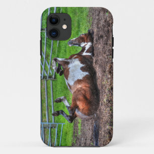 Coque Case-Mate Pour iPhone Paint Rolling Horse Equine Photo pour les amateurs