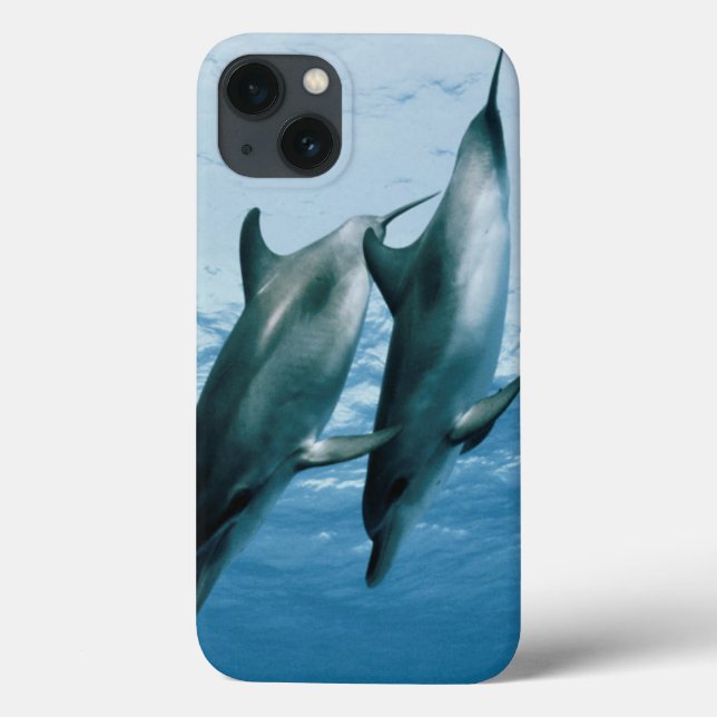 Coques Case-Mate iPhone Paire de dauphins (Verso)