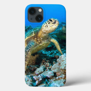 iPhone 13 Case Paires de tortue