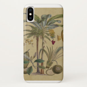 Case-Mate iPhone Case Palm Antique Fruit Tropical Art Botanique