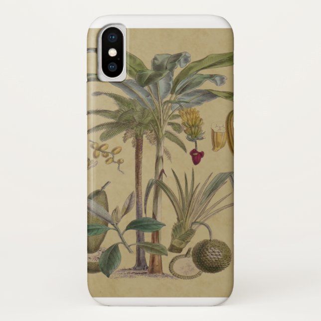 Coques Case-Mate iPhone Palm Antique Fruit Tropical Art Botanique (Dos)