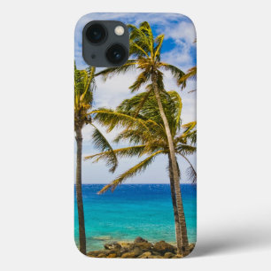 Case-Mate iPhone Case Palmier à noix de coco (Cocos nucifera) se balança