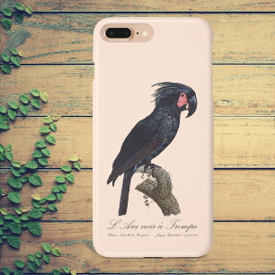 Case-Mate iPhone Case Palmisano Cacatoès, perroquet Probosciger aterrimu