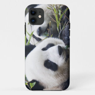 Etui iPhone Case-Mate Panda Bear Hugues
