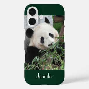 Coques iPhone 16 Panda Géant, Arrière - plan Vert foncé, Nom,