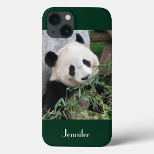 Etui iPhone 13 Panda Géant, Arrière - plan Vert foncé, Nom,