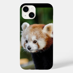 Coque Pour iPhone 14 Panda roux animal sauvage