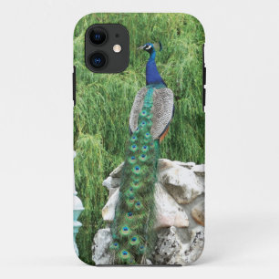 Coques Pour iPhone Paon dans une caisse de Se d'iPhone de jardin