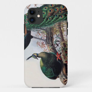 Coque iPhone 11 Paon, paon vert pavo muticus 1872 ...