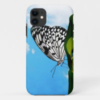 Papillon et ciel