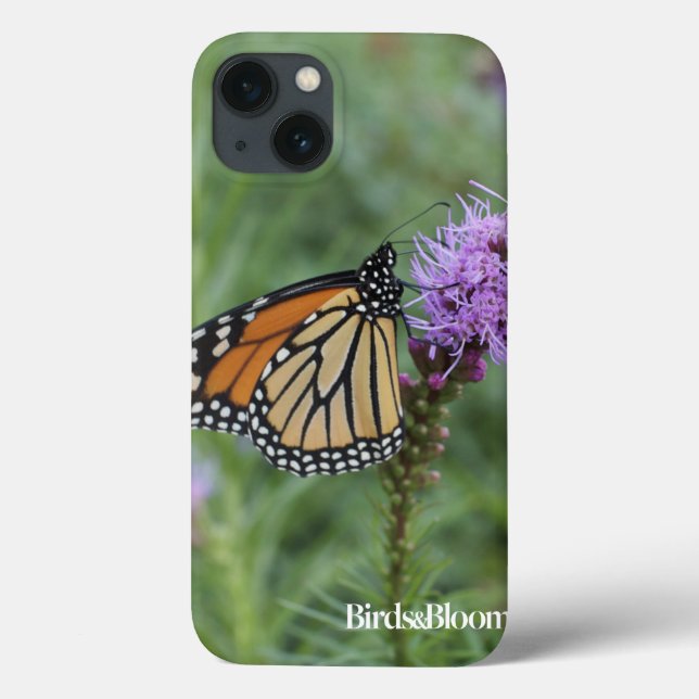 Coques Case-Mate iPhone Papillon monarque (Verso)