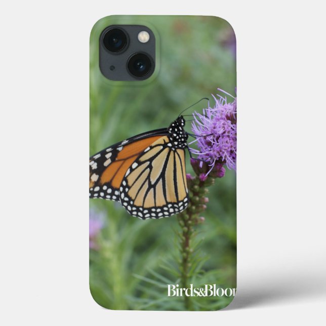Coques Case-Mate iPhone Papillon monarque (Verso)