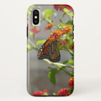 Papillon monarque sur le papillon rouge Bush