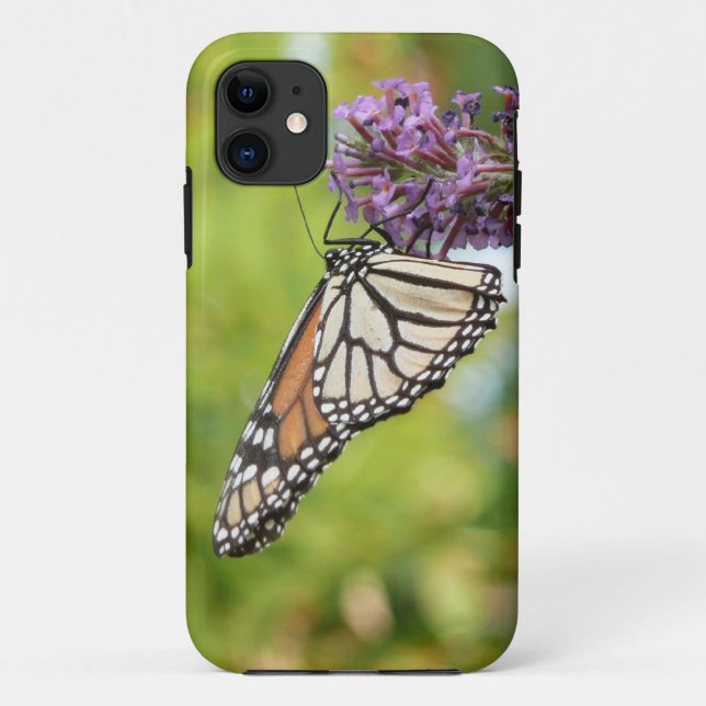 Coques Case-Mate iPhone Papillon Monarque sur papillon pourpre Bush (Dos)