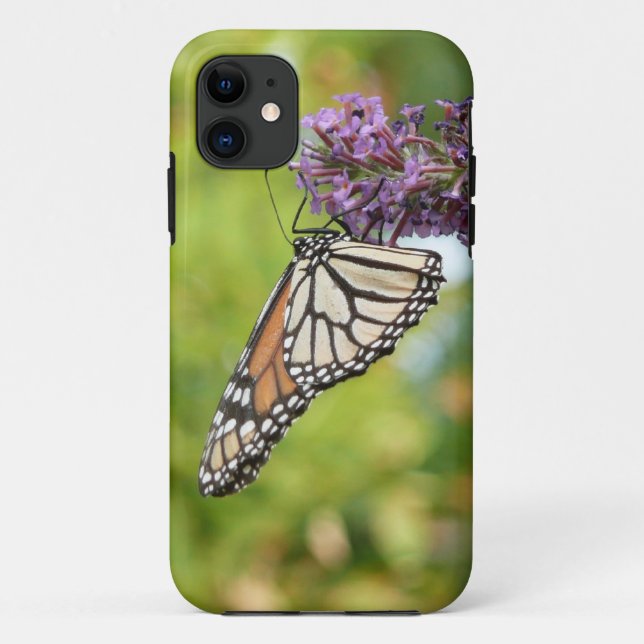 Coques Case-Mate iPhone Papillon Monarque sur papillon pourpre Bush (Dos)