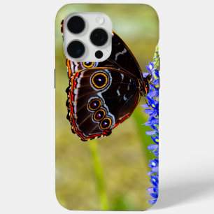 Coque iPhone 15 Pro Max Papillon morpho bleu sur une orchidée de marais