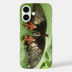 Coques iPhone 16 Papillon noir, rouge et or joli