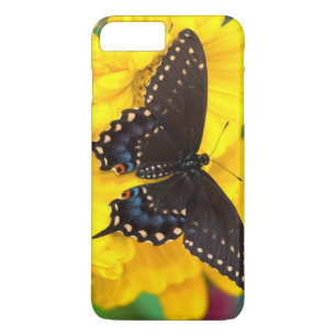Coque iPhone 8 Plus/7 Plus Papillon Papilio polyxenes