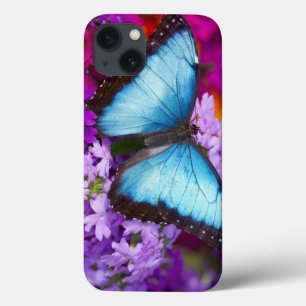 iPhone 13 Coque Papillon tropical 7 de Sammamish Washington