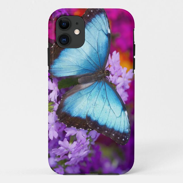 Coques Case-Mate iPhone Papillon tropical de Sammamish Washington (Dos)