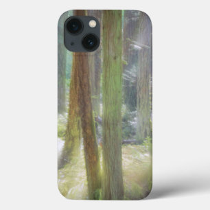 iPhone 13 Case Parc d'état de Pittoresque Beach