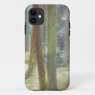 Coques Pour iPhone Parc d'État de Scenic Beach