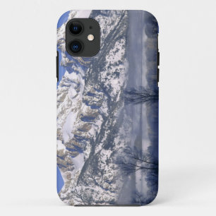 Etui iPhone Case-Mate PARC NATIONAL GRAND TETON, WYOMING. USA. Brouillar