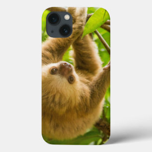Etui iPhone Case-Mate Paresse à l'envers des images de Getty