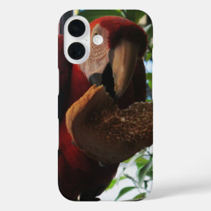 Coques iPhone 16 Parrot Macaw Scarlet Manger Toast