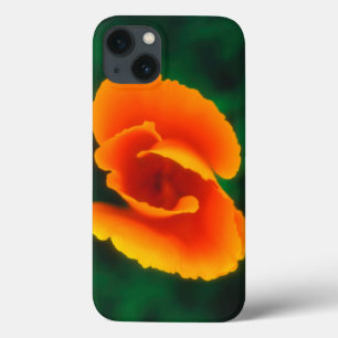 Etui iPhone 13 Pavot de Californie